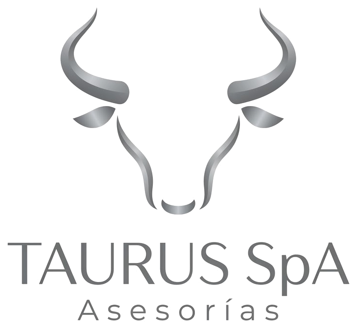 Logo de Taurus SpA Asesorías